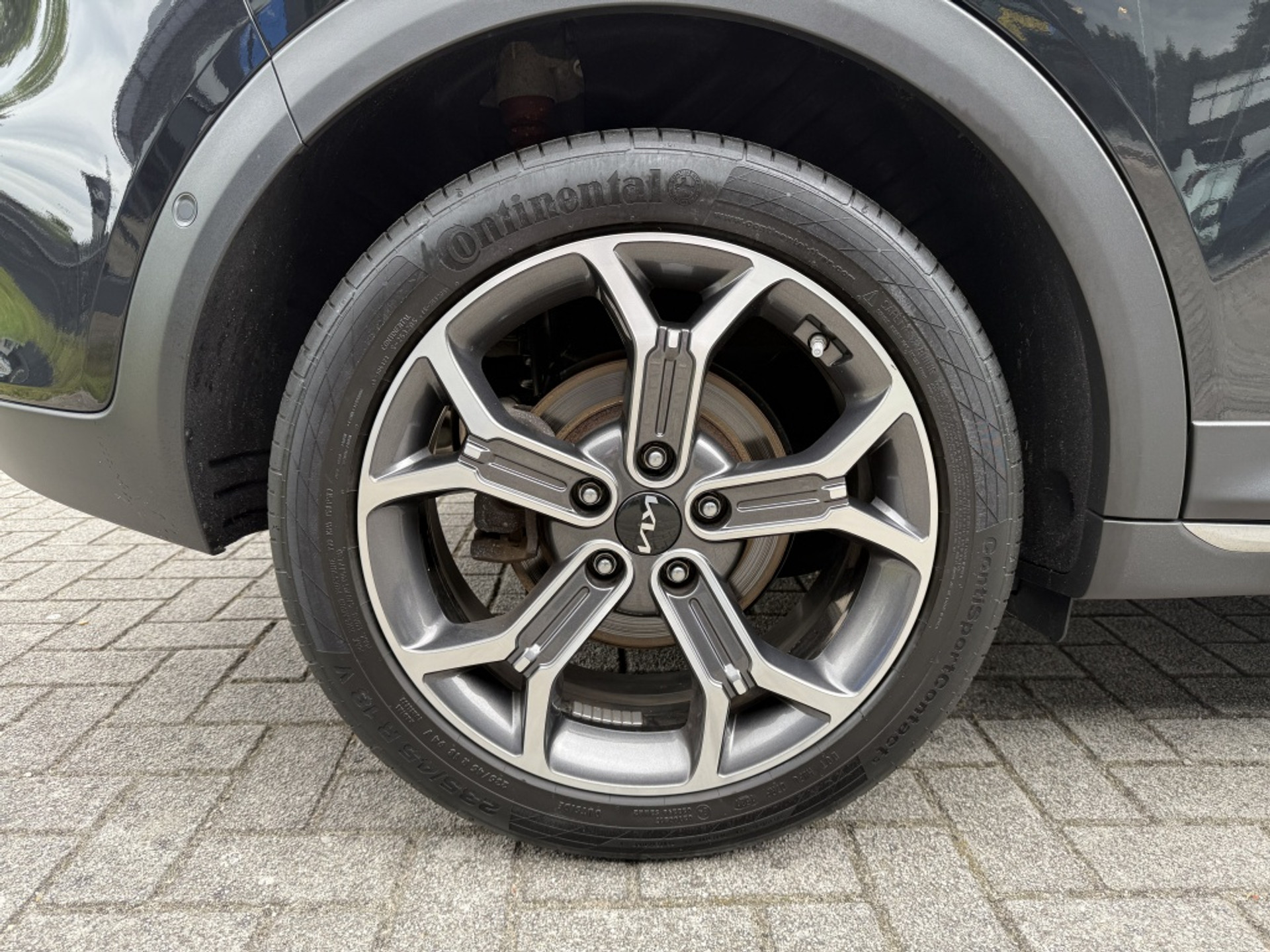 44459339-20.jpg