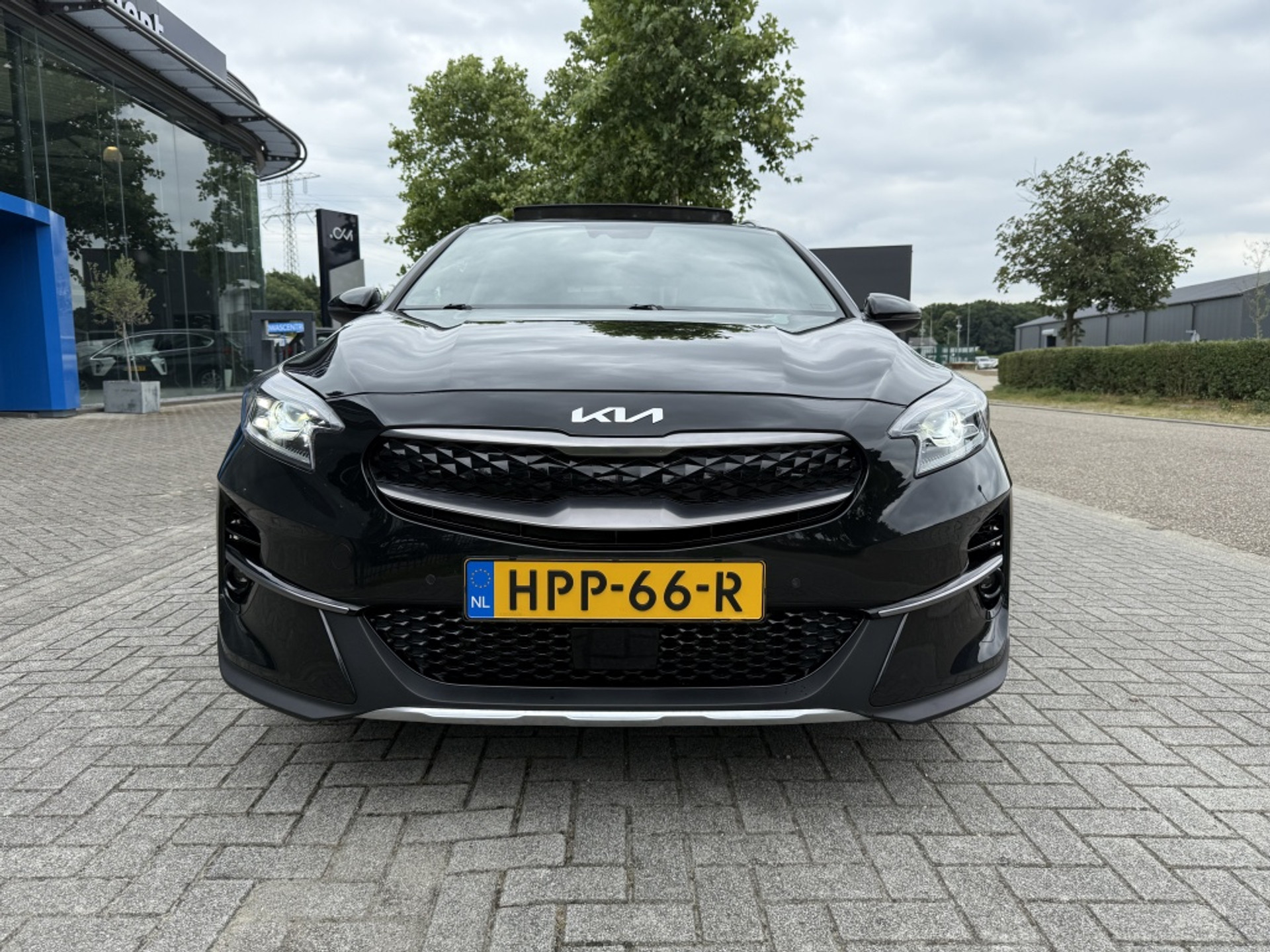 44459339-4.jpg
