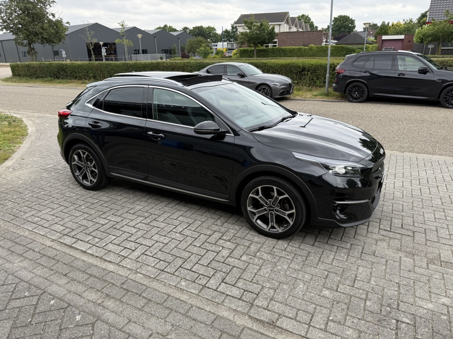 44459339-5.jpg
